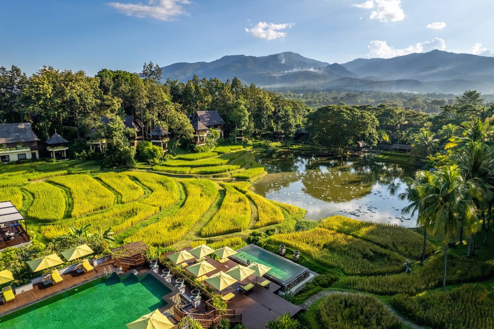 Aerial view of the resort: tiers of rice fields, a lily lake, pools with yellow umbrellas, pavilions among trees and mountains on the horizon